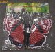 K162 PLASTIC JUMBO DECORATIVE BUTTERFLY