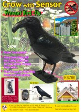 K6799 CROW WITH SENSOR