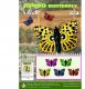 K162 PLASTIC JUMBO DECORATIVE BUTTERFLY